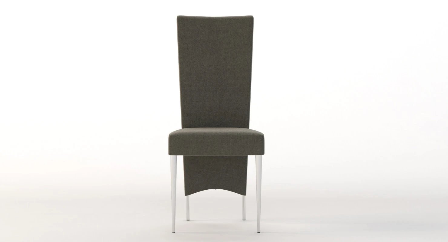 Cattelan Italia Elenoire Chair 3D Model_010