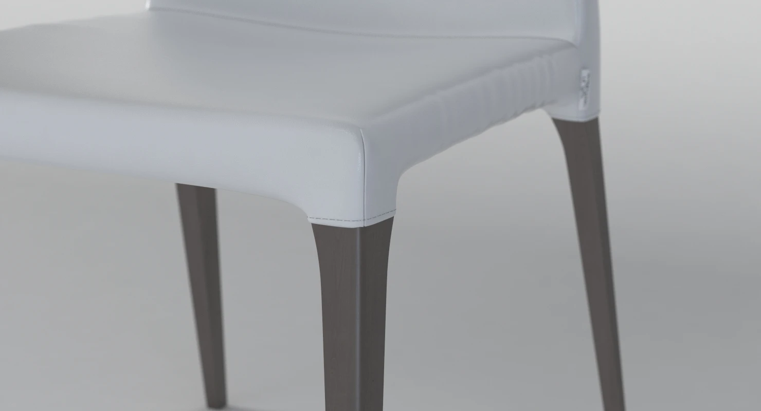 Martinel Eva Pacini And Cappellini Chair 3D Model_08