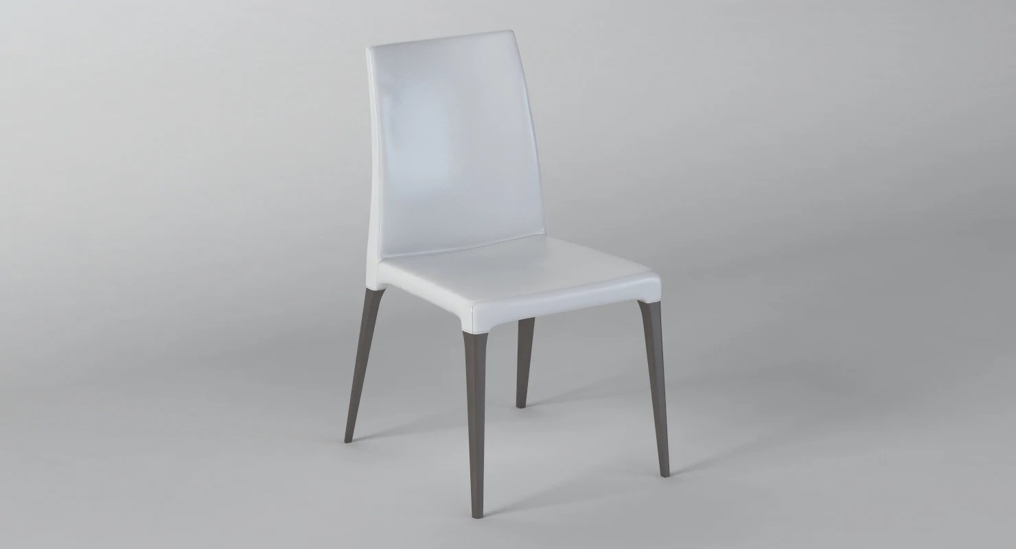 Martinel Eva Pacini And Cappellini Chair 3D Model_03