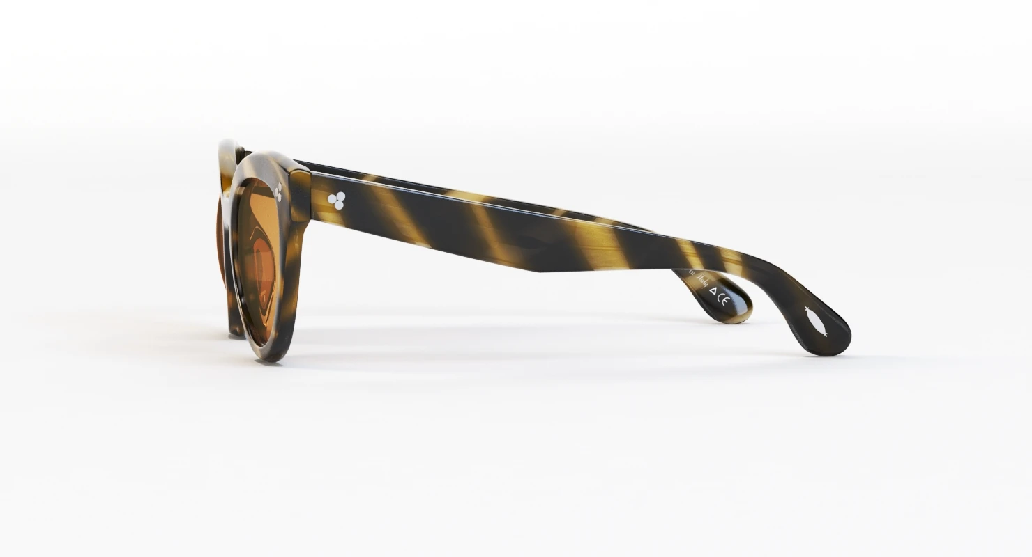 Oliver Peoples Roella Cocobolo Brown Polar Sunglass 3D Model_010