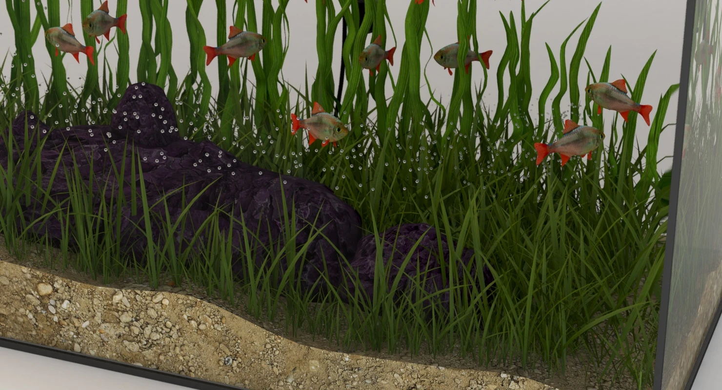 Rectangular Glass Aquarium 3D Model_03