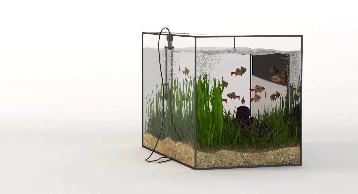 Rectangular Glass Aquarium 3D Model_06