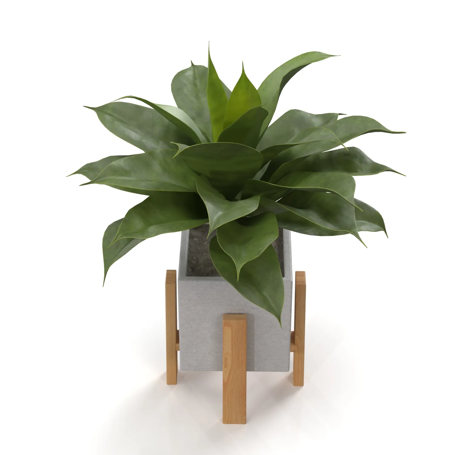 Artificial Agave Succulent Plant PBR 3D Model_03
