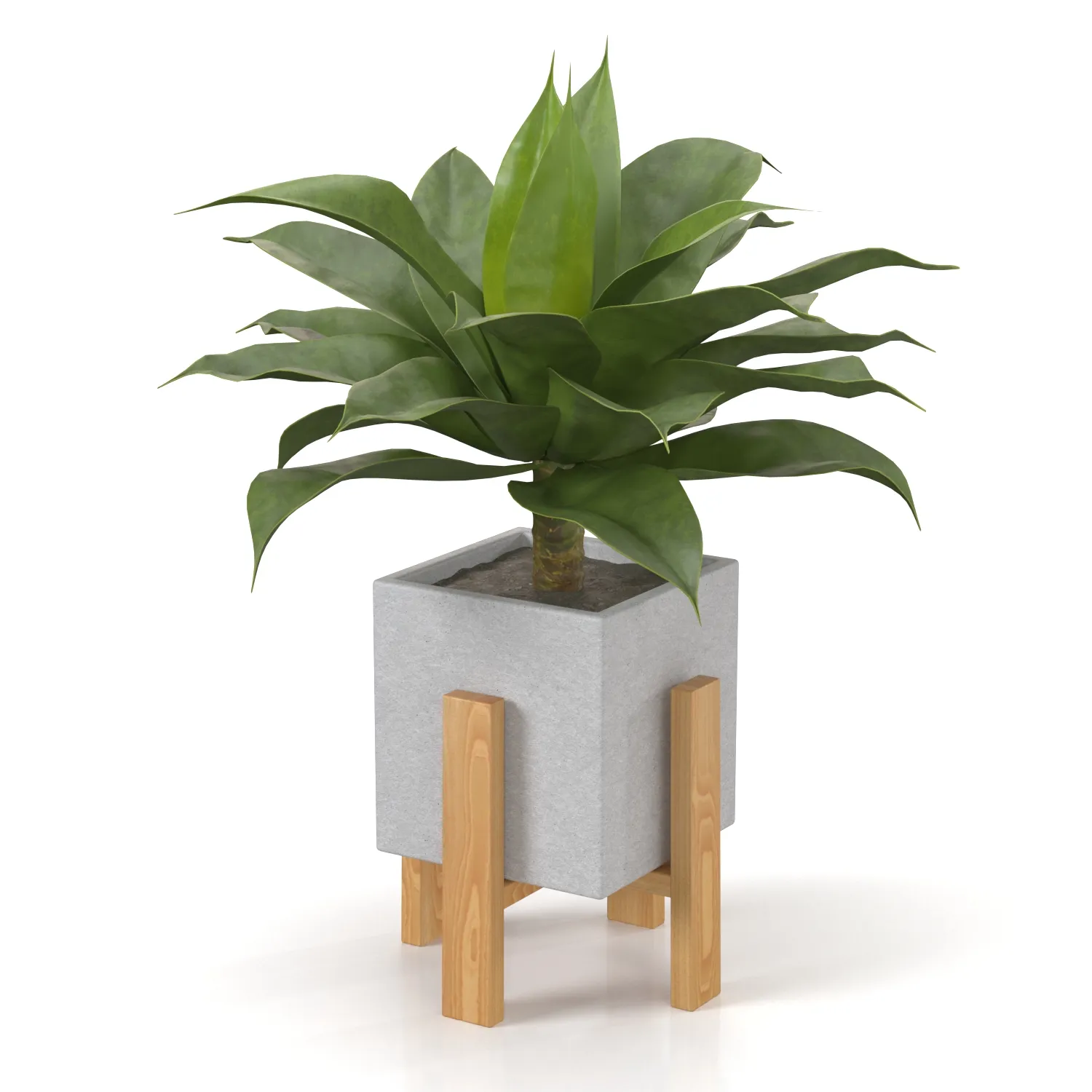 Artificial Agave Succulent Plant PBR 3D Model_04