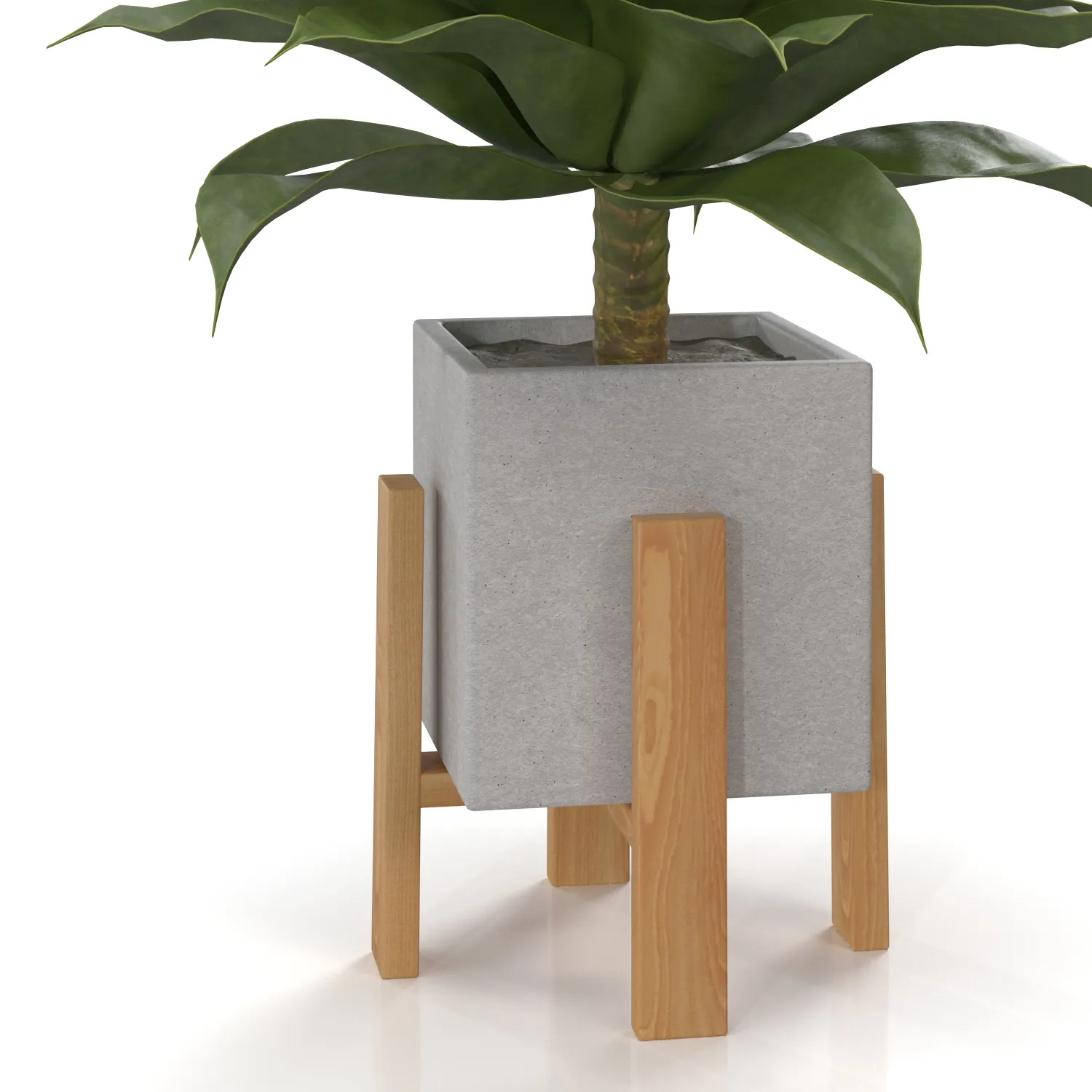 Artificial Agave Succulent Plant PBR 3D Model_06