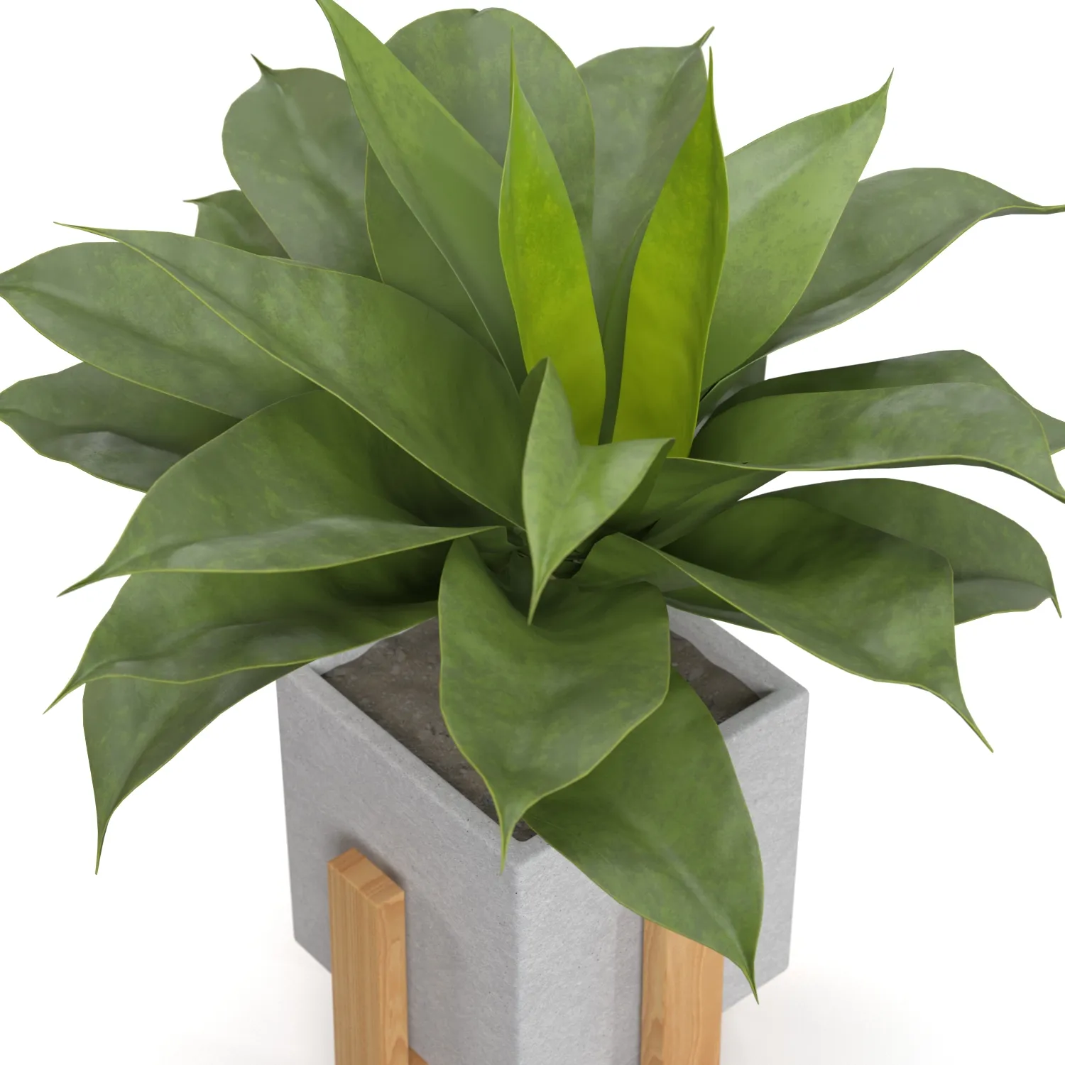 Artificial Agave Succulent Plant PBR 3D Model_05