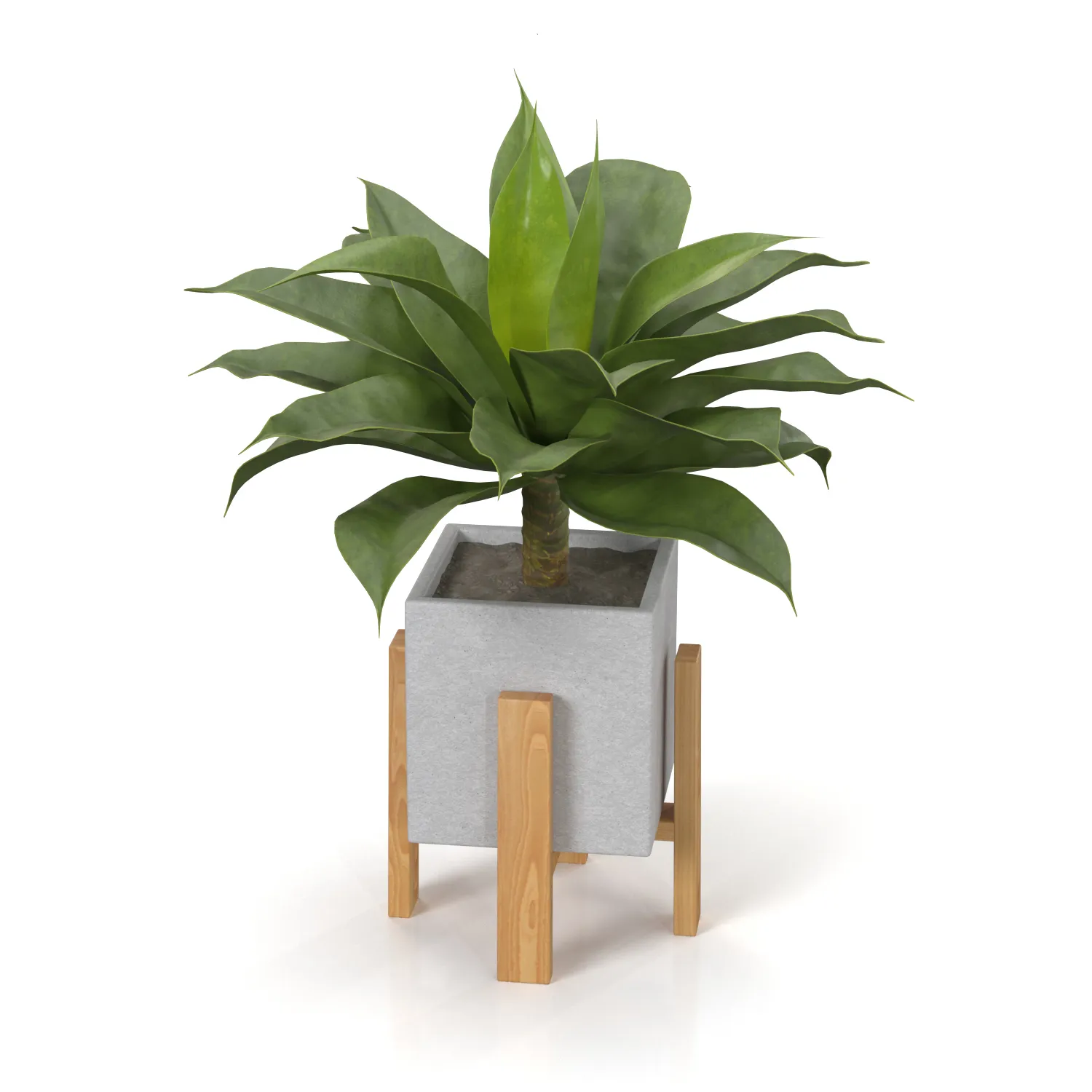 Artificial Agave Succulent Plant PBR 3D Model_01