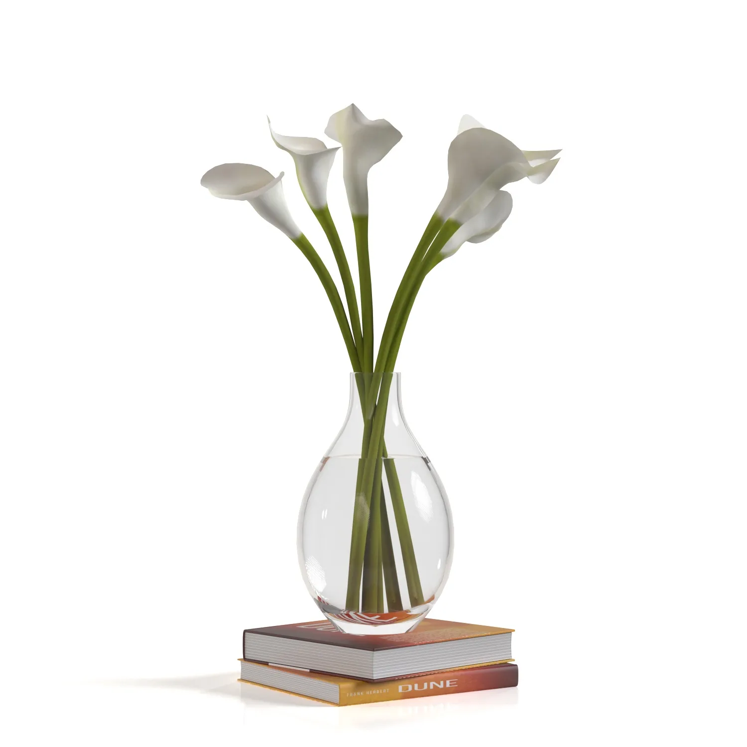 Artificial Calla Lily Stem PBR 3D Model_03