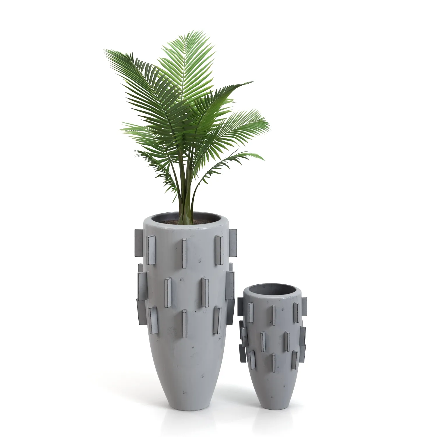 Areca Palm Ari Planter PBR 3D Model_01