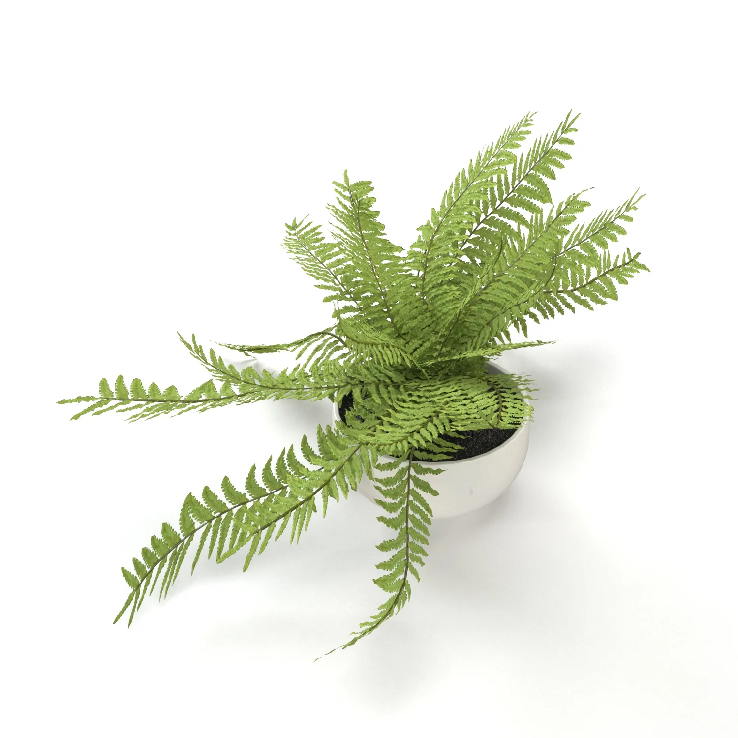 Faux Potted Fern Plant 10in PBR 3D Model_06