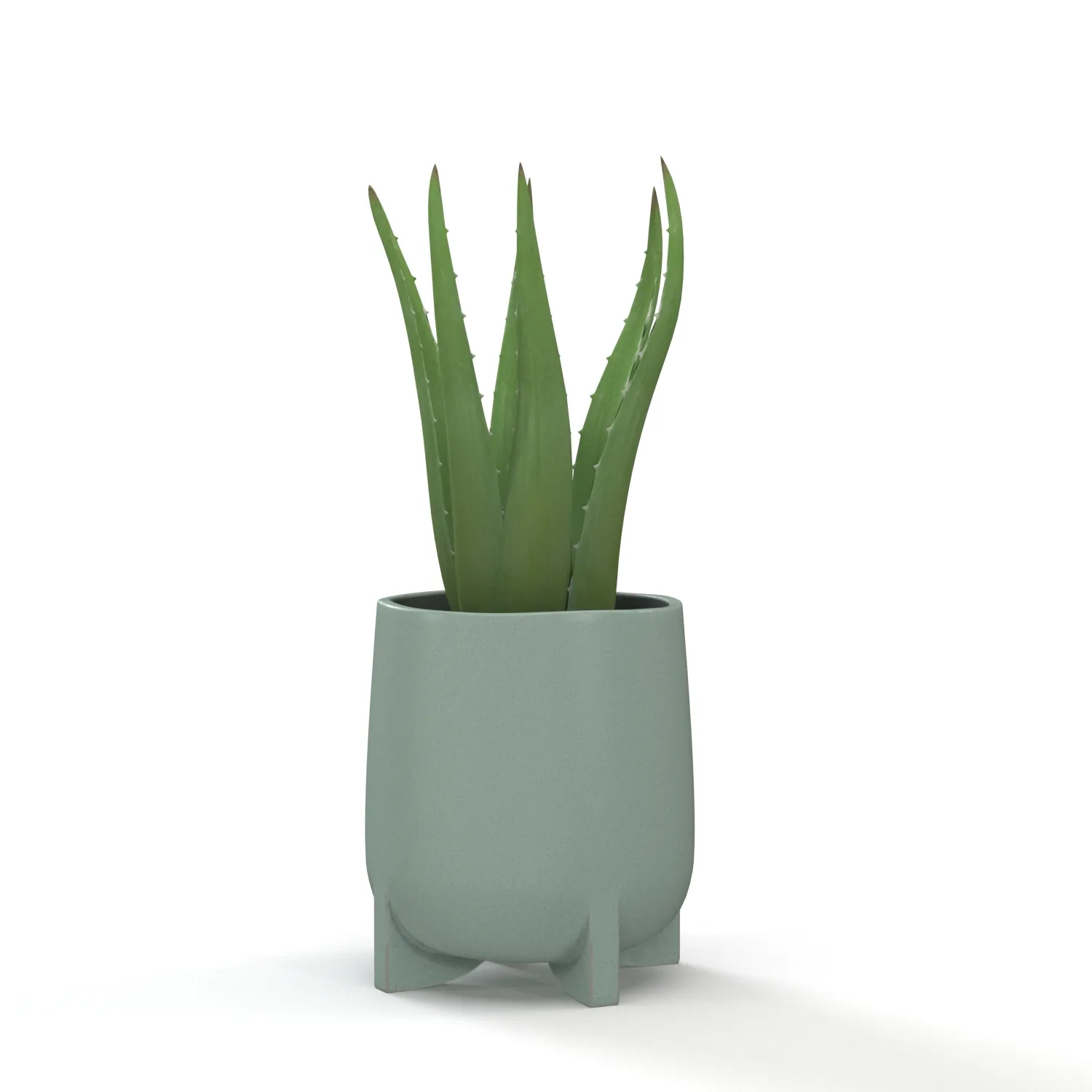 Stoneware Footed Aloe vera Planter PBR 3D Model_03