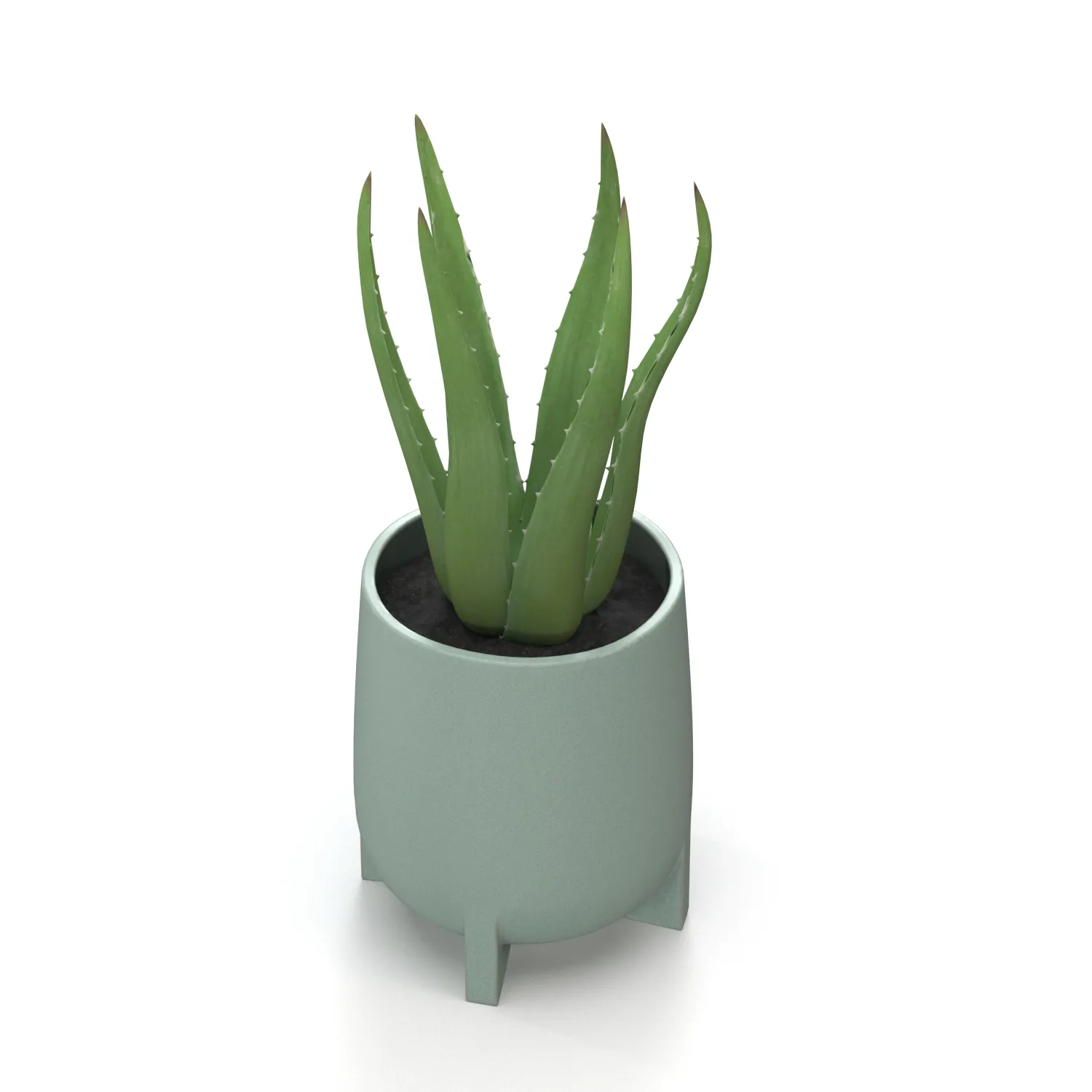 Stoneware Footed Aloe vera Planter PBR 3D Model_06