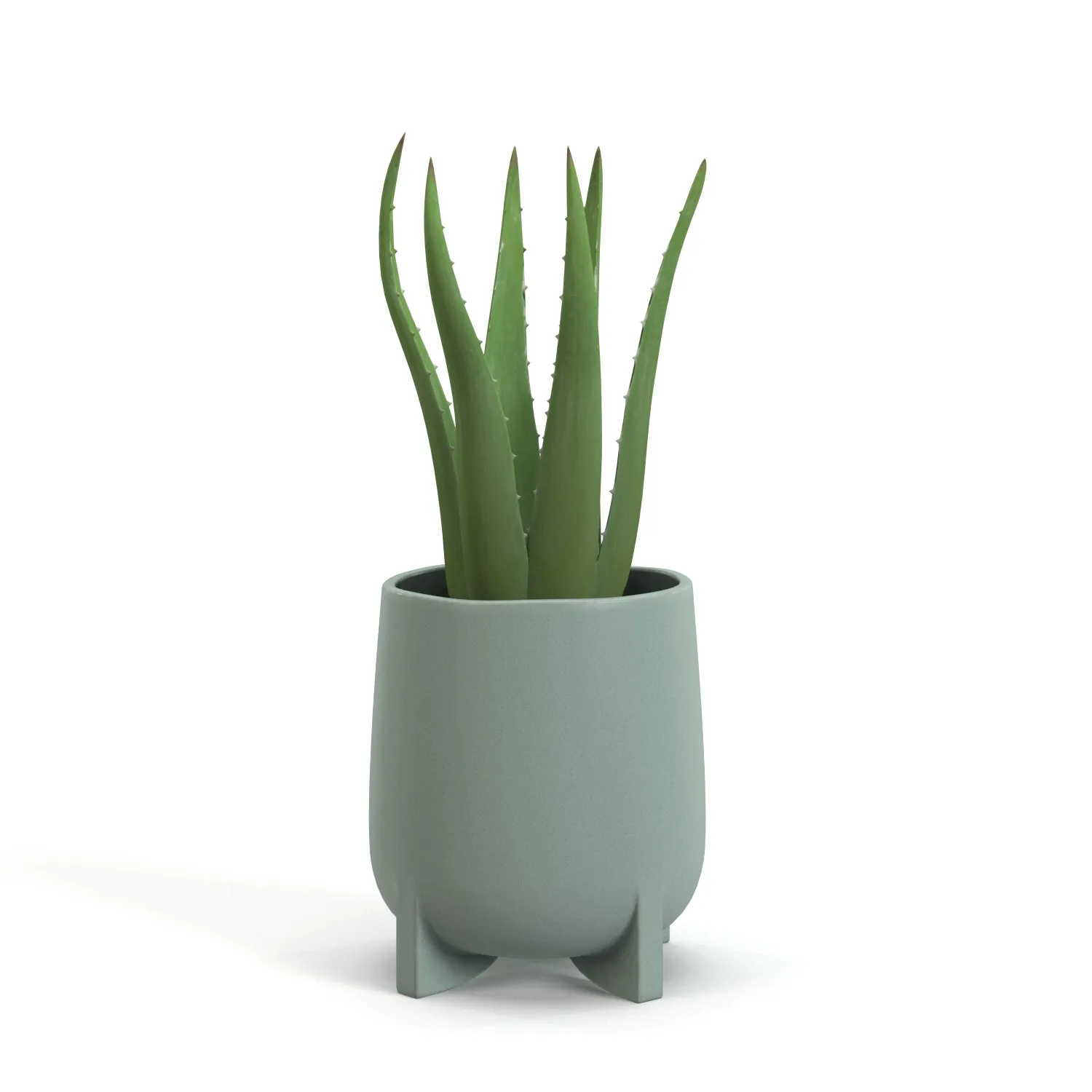 Stoneware Footed Aloe vera Planter PBR 3D Model_01