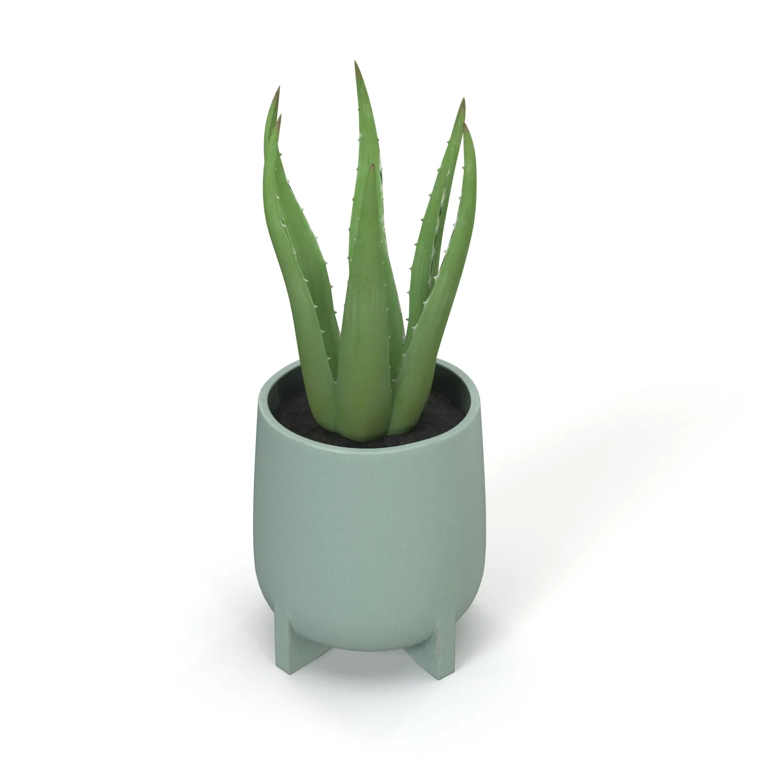 Stoneware Footed Aloe vera Planter PBR 3D Model_04