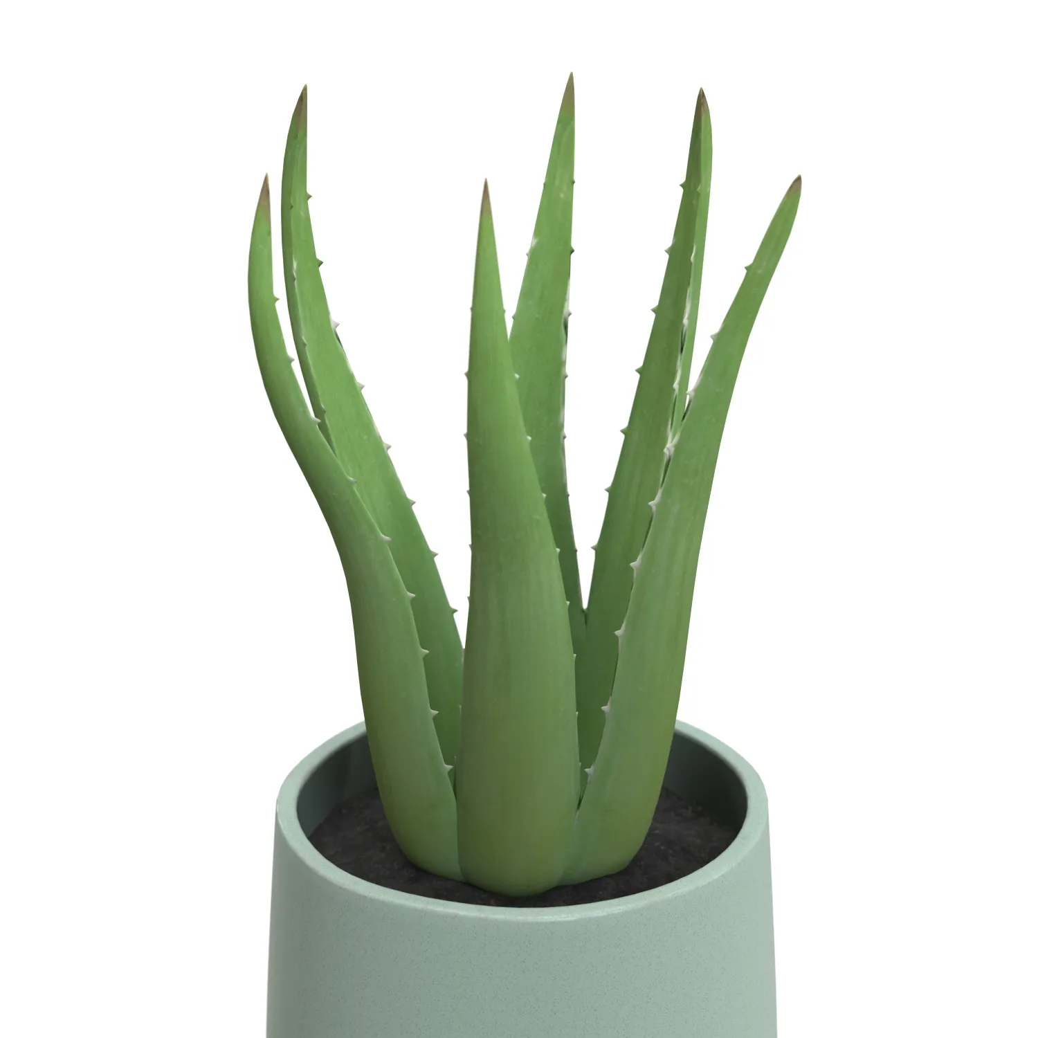 Stoneware Footed Aloe vera Planter PBR 3D Model_05