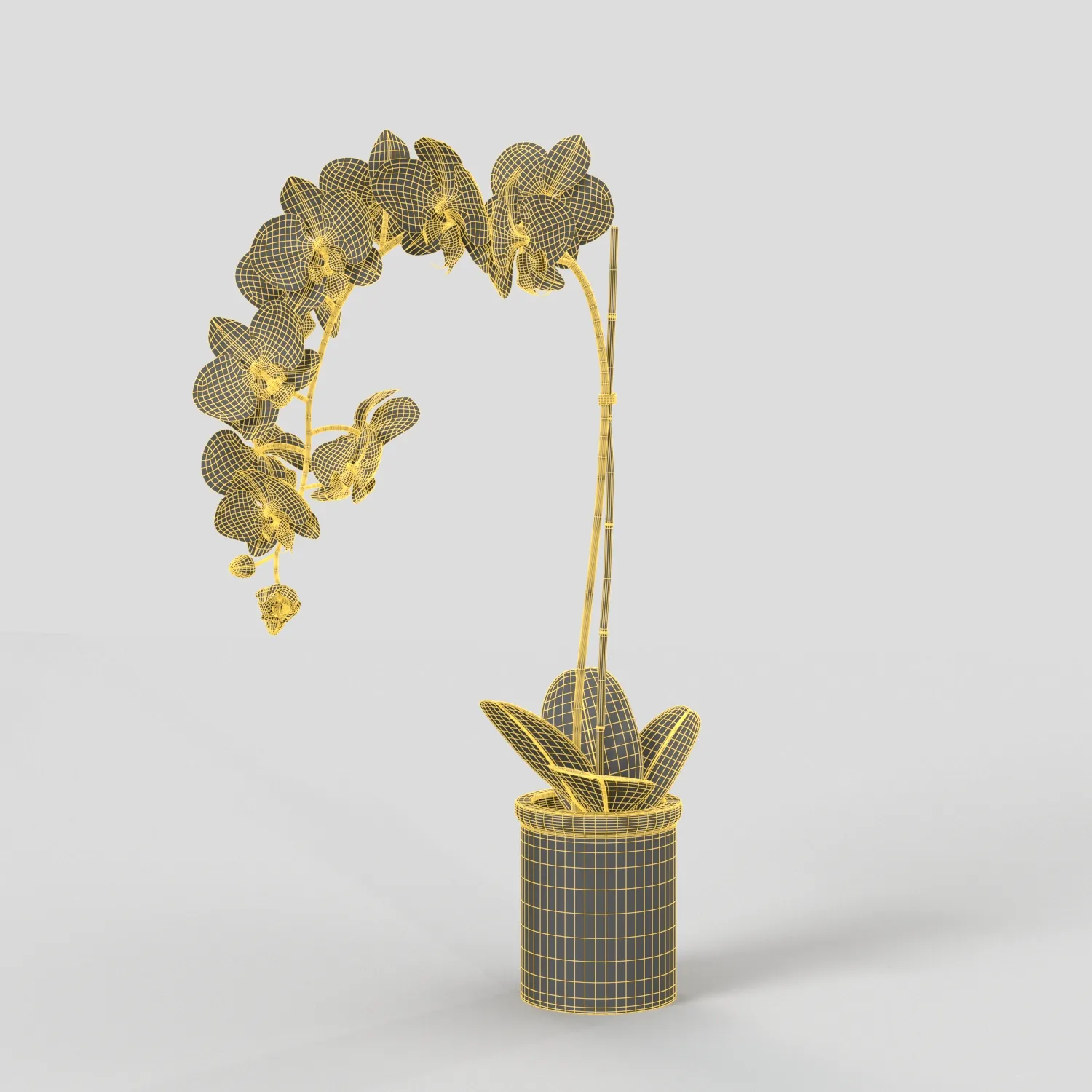 Threshold Small Potted Orchid PBR 3D Model_07