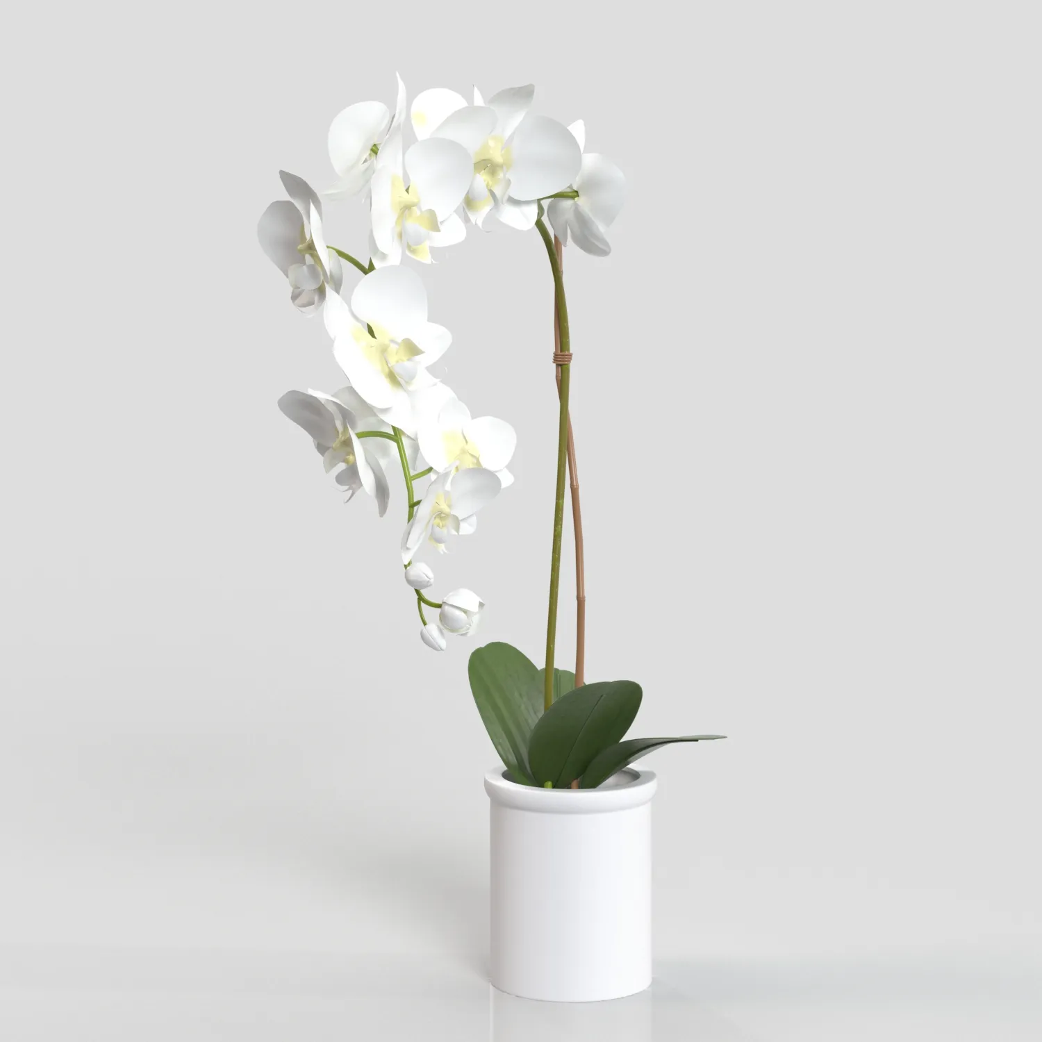 Threshold Small Potted Orchid PBR 3D Model_06