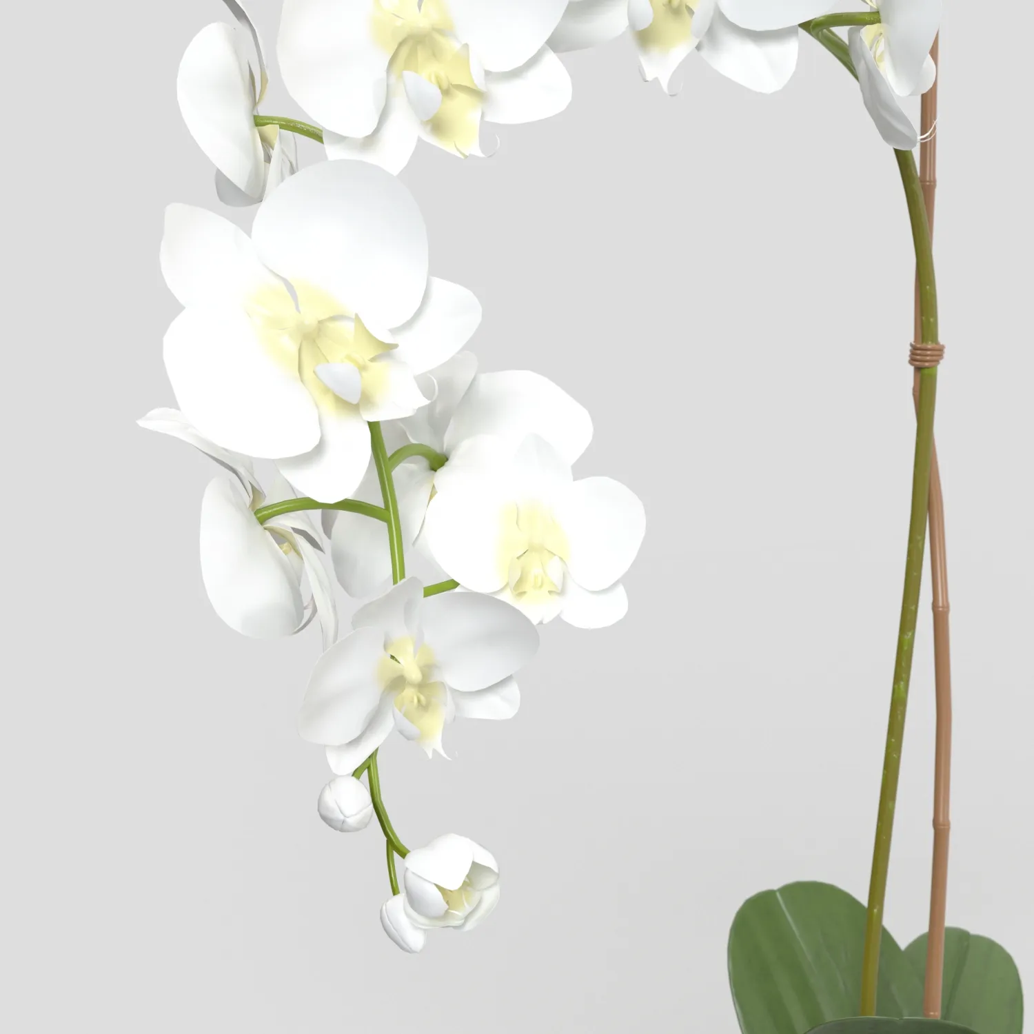 Threshold Small Potted Orchid PBR 3D Model_05