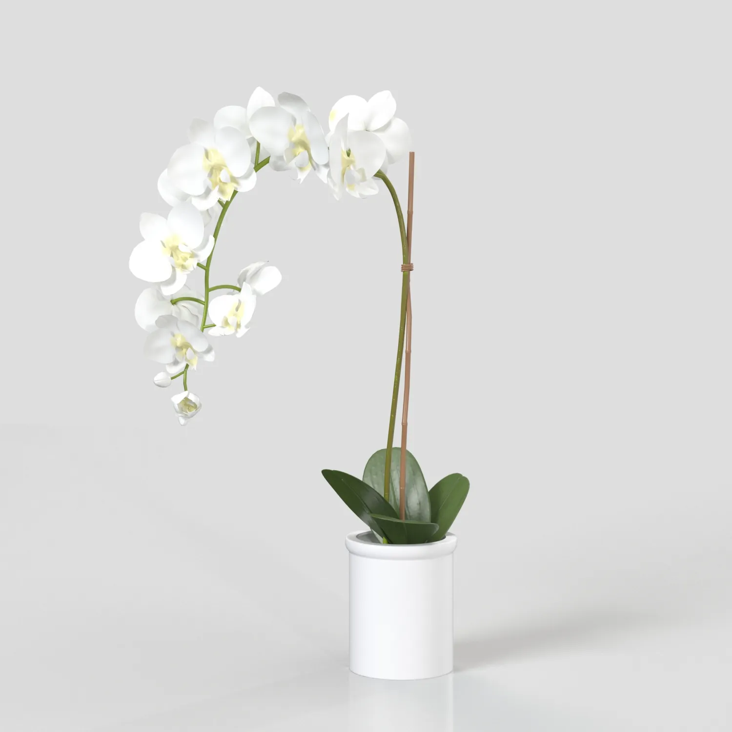 Threshold Small Potted Orchid PBR 3D Model_01