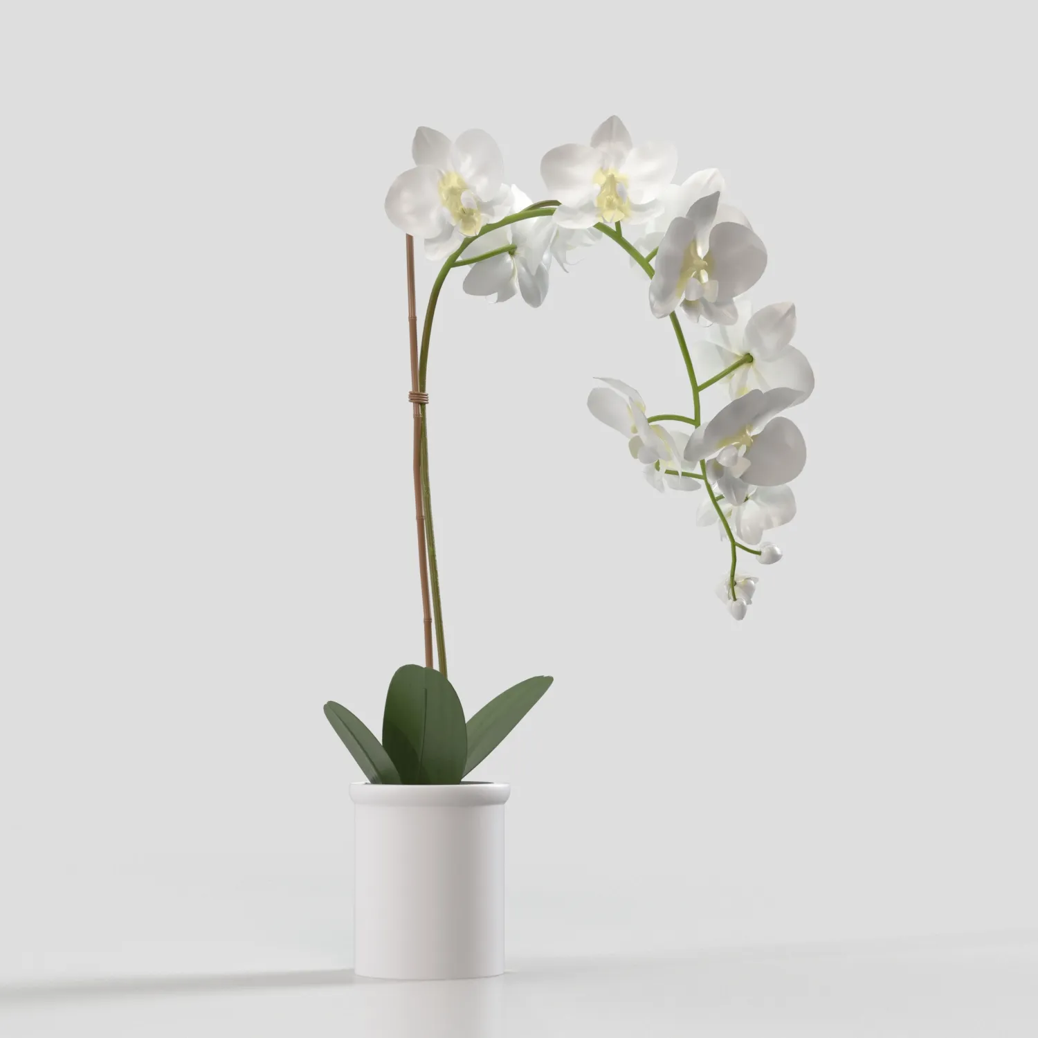 Threshold Small Potted Orchid PBR 3D Model_03