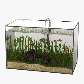 Rectangular Glass Aquarium 3D Model