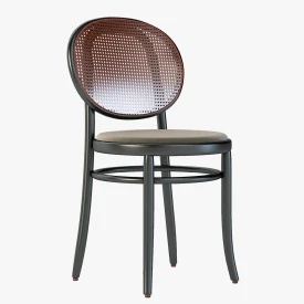 The N.0 Front Chair for Gebruder Thonet Vienna 3D Model