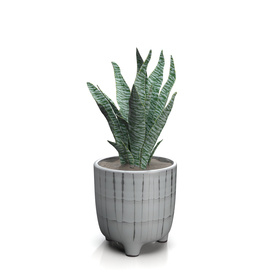 Terracotta Footed Planter with Artificial Plant PBR 3D Model