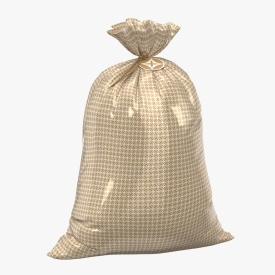 Hallmark 56 Jumbo Plastic Gift Bag 3D Model